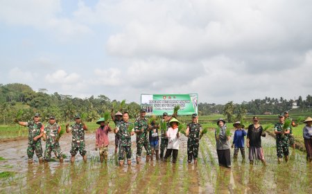 Dandim 0704 Banjarnegara Tanam Padi Protani untuk Program Ketahanan Pangan