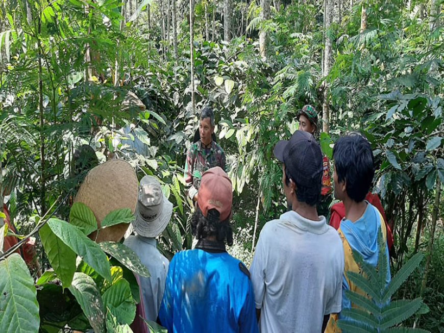 Danramil 17 Wanayasa Dialog Santai dengan Petani Kopi di Kebun Warga