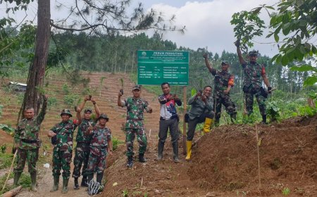 Danramil 01 Banjarnegara Bersama Warga Gelar Penghijauan di Desa Kebutuhduwur