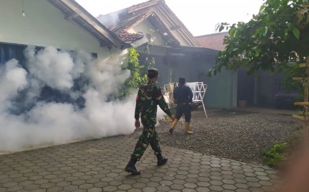 Babinsa Dampingi Kegiatan Fogging Di Desa Binaan
