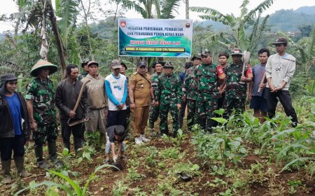Koramil 04 Karangkobar dan Warga Tanam 700 Pohon Kopi untuk Kelestarian Lingkungan